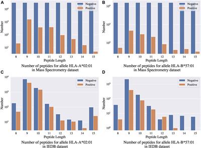 Ranking-Based Convolutional Neural Network Models for Peptide-MHC Class I Binding Prediction